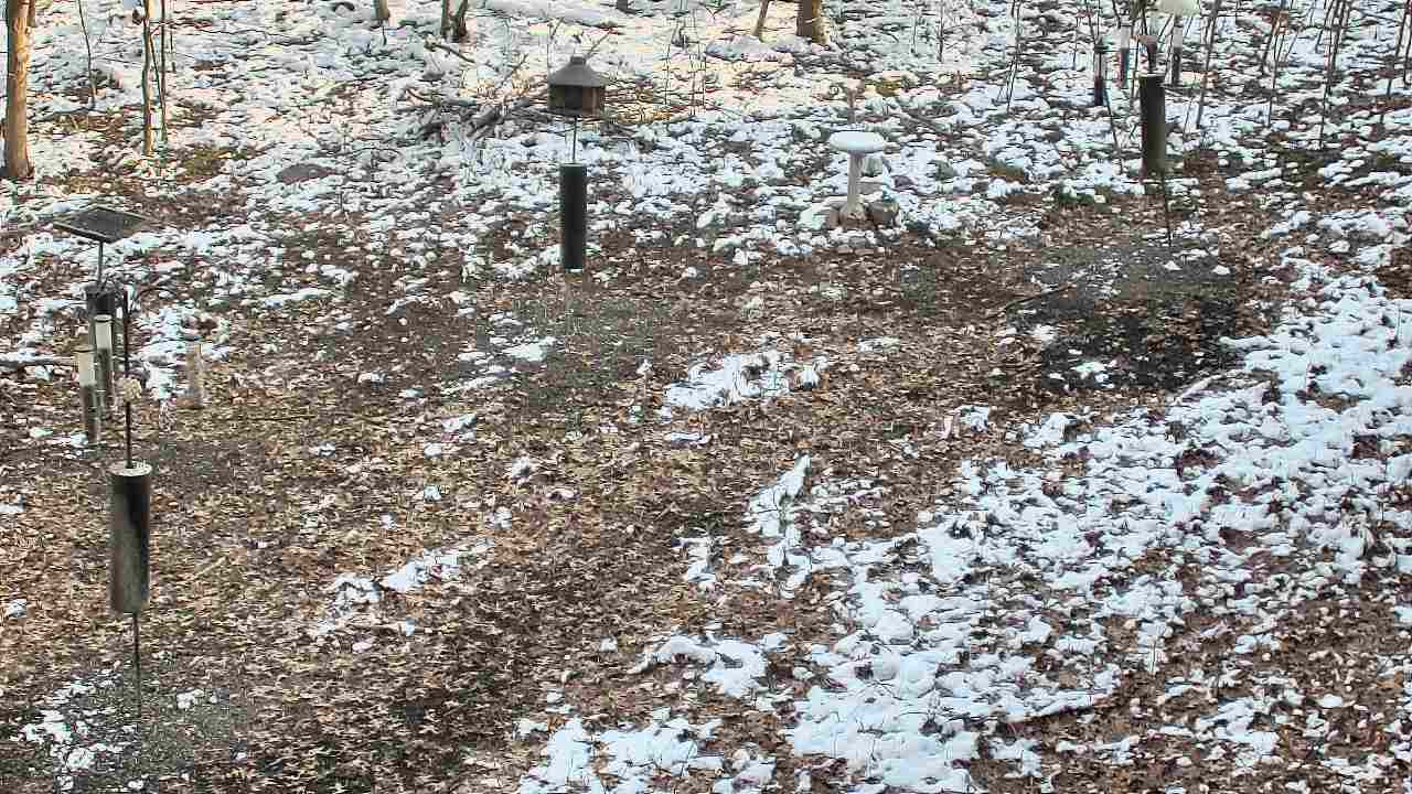 Thumbnail for current weather camera view from Cincinnati Nature Center in Batavia, Ohio