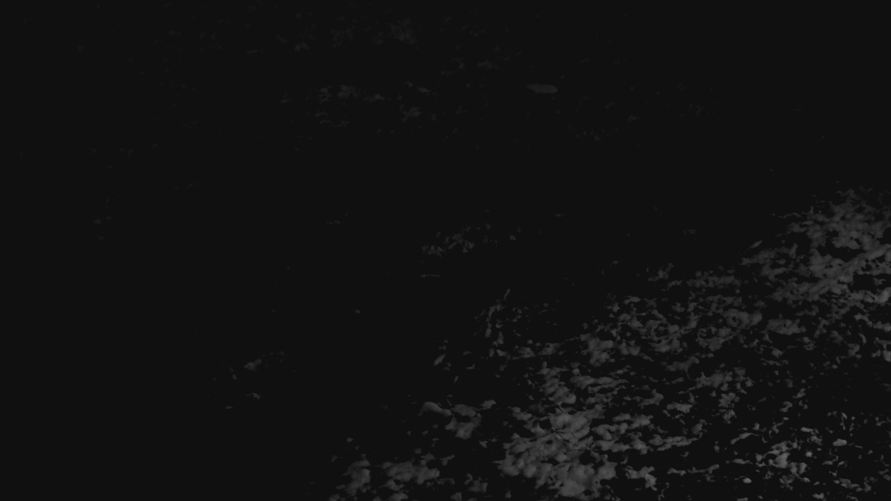 Thumbnail for current weather camera view from Cincinnati Nature Center in Batavia, Ohio