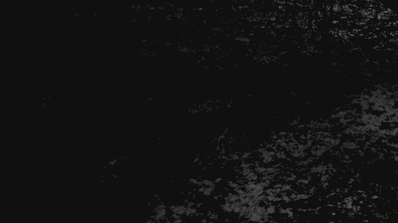 Thumbnail for current weather camera view from Cincinnati Nature Center in Batavia, Ohio