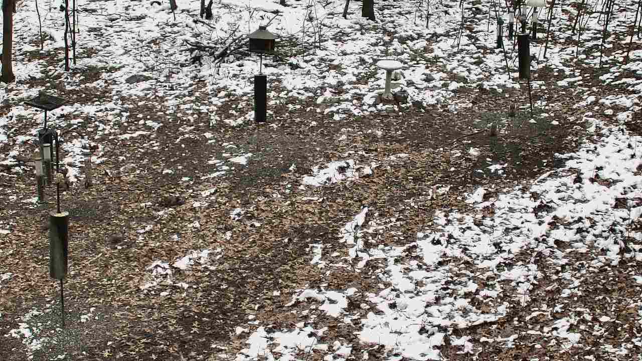 Thumbnail for current weather camera view from Cincinnati Nature Center in Batavia, Ohio