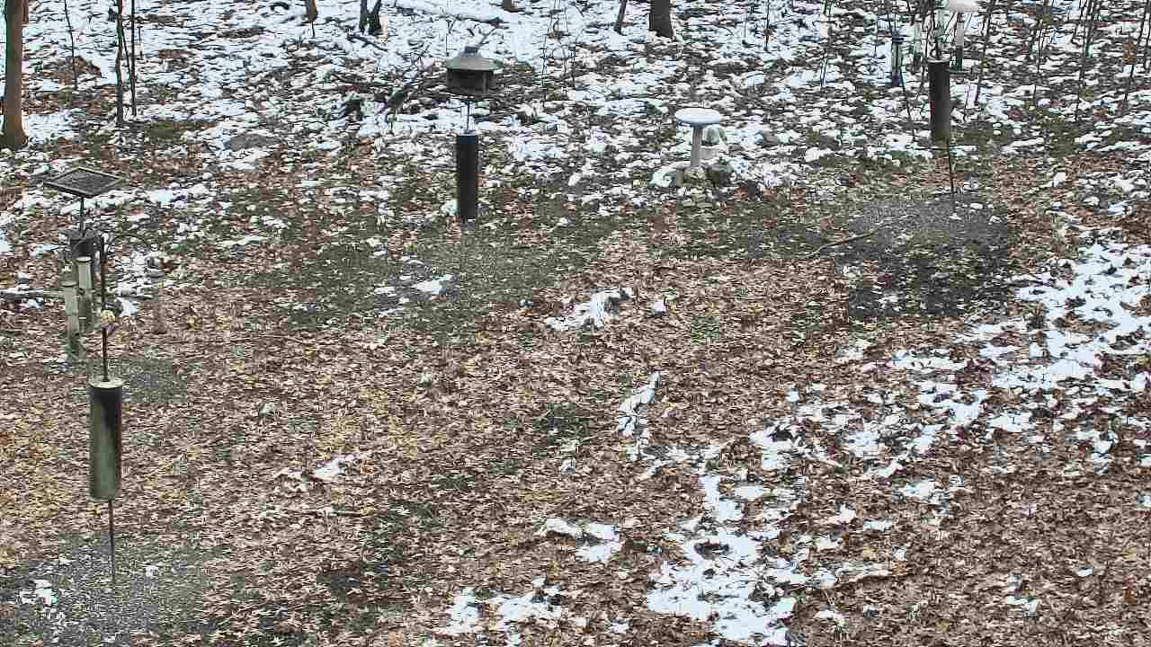 Thumbnail for current weather camera view from Cincinnati Nature Center in Batavia, Ohio