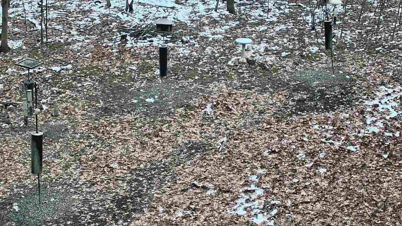 Thumbnail for current weather camera view from Cincinnati Nature Center in Batavia, Ohio