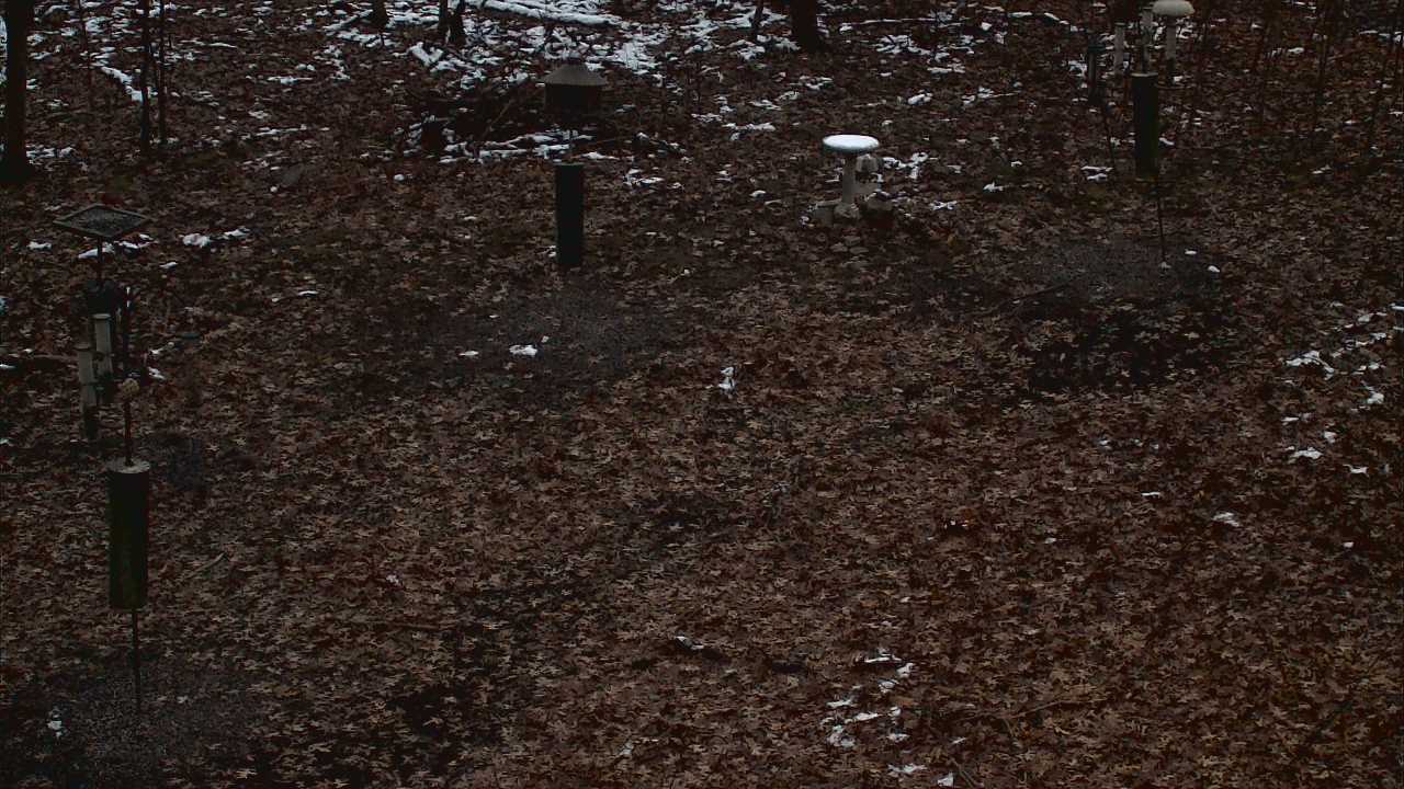 Thumbnail for current weather camera view from Cincinnati Nature Center in Batavia, Ohio