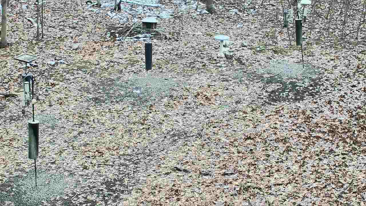 Thumbnail for current weather camera view from Cincinnati Nature Center in Batavia, Ohio