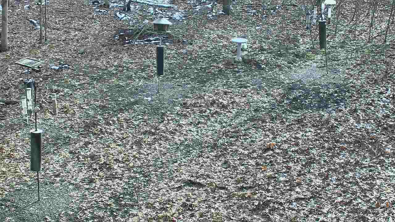 Thumbnail for current weather camera view from Cincinnati Nature Center in Batavia, Ohio