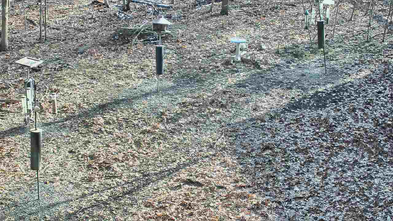 Thumbnail for current weather camera view from Cincinnati Nature Center in Batavia, Ohio