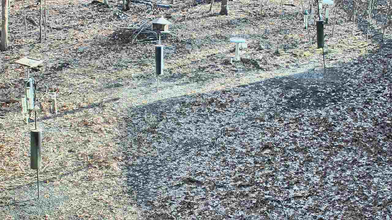 Thumbnail for current weather camera view from Cincinnati Nature Center in Batavia, Ohio