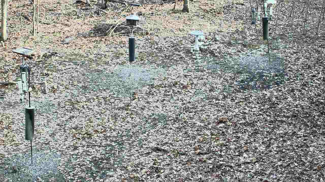 Thumbnail for current weather camera view from Cincinnati Nature Center in Batavia, Ohio