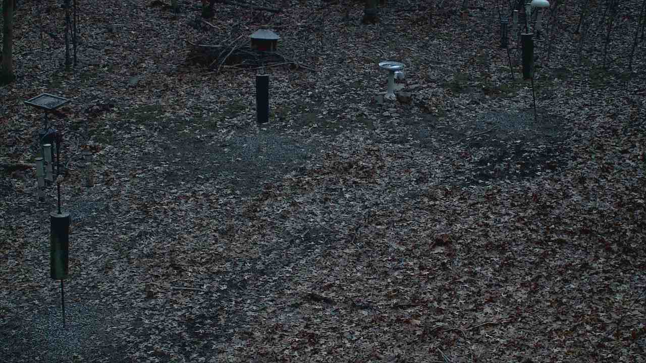 Thumbnail for current weather camera view from Cincinnati Nature Center in Batavia, Ohio