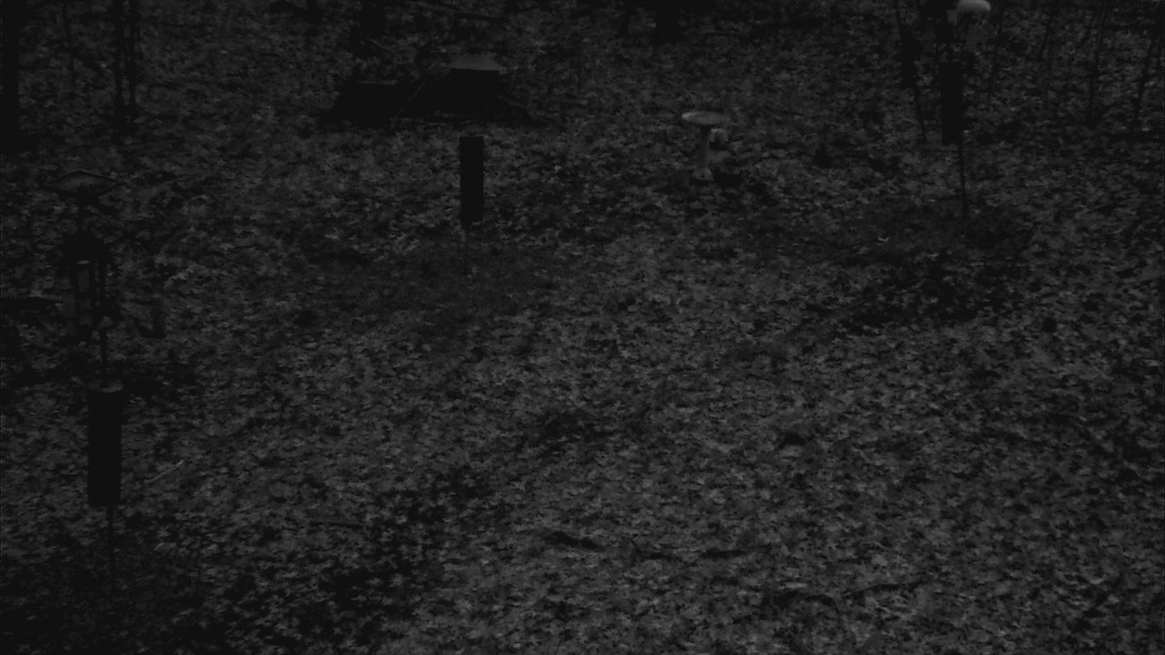 Thumbnail for current weather camera view from Cincinnati Nature Center in Batavia, Ohio