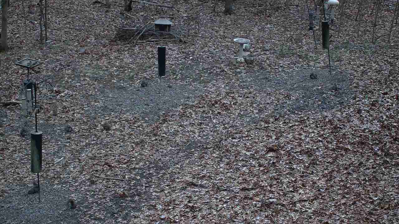 Thumbnail for current weather camera view from Cincinnati Nature Center in Batavia, Ohio