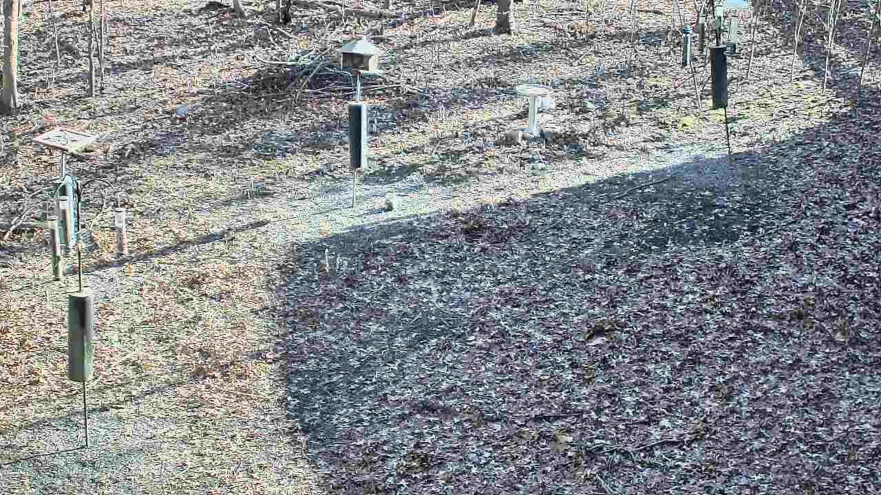 Thumbnail for current weather camera view from Cincinnati Nature Center in Batavia, Ohio