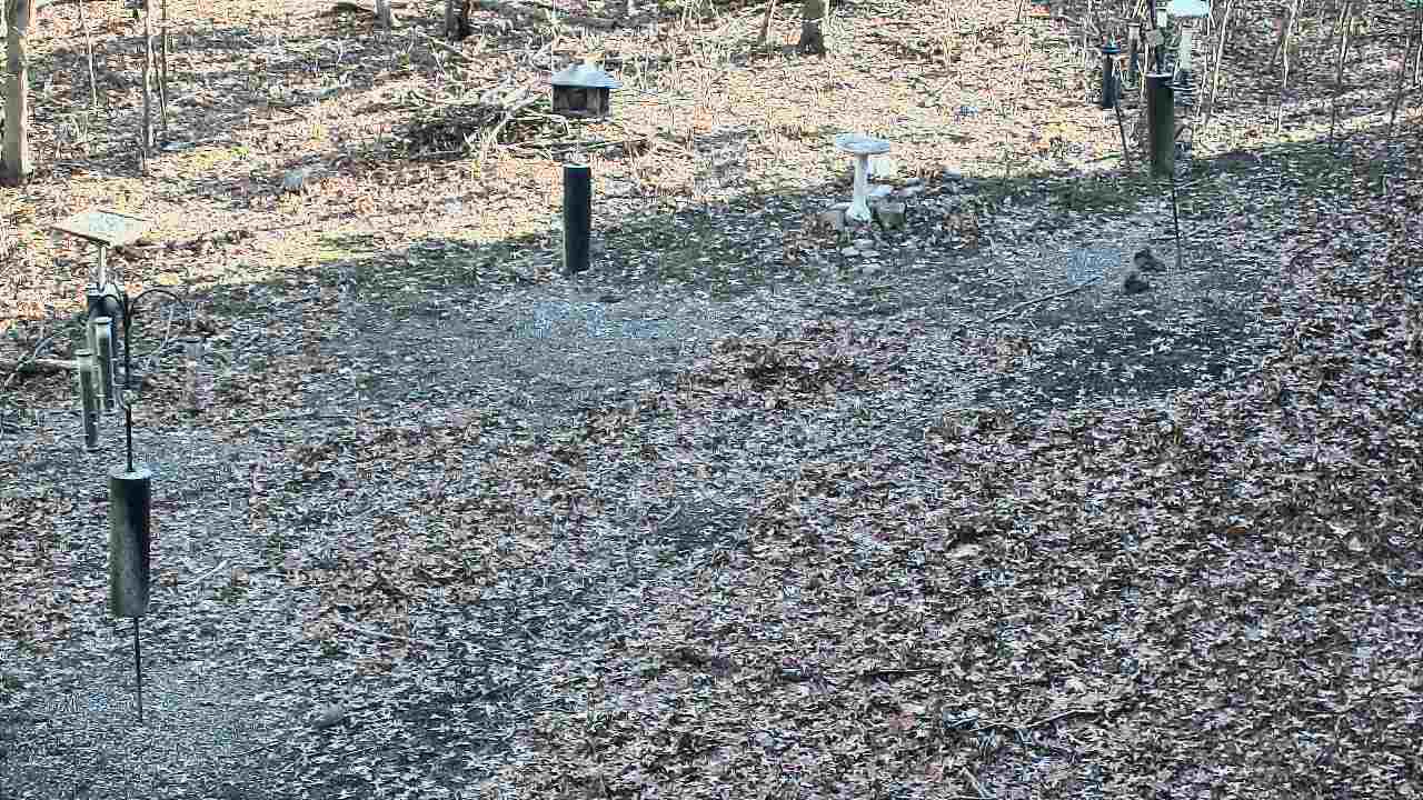 Thumbnail for current weather camera view from Cincinnati Nature Center in Batavia, Ohio