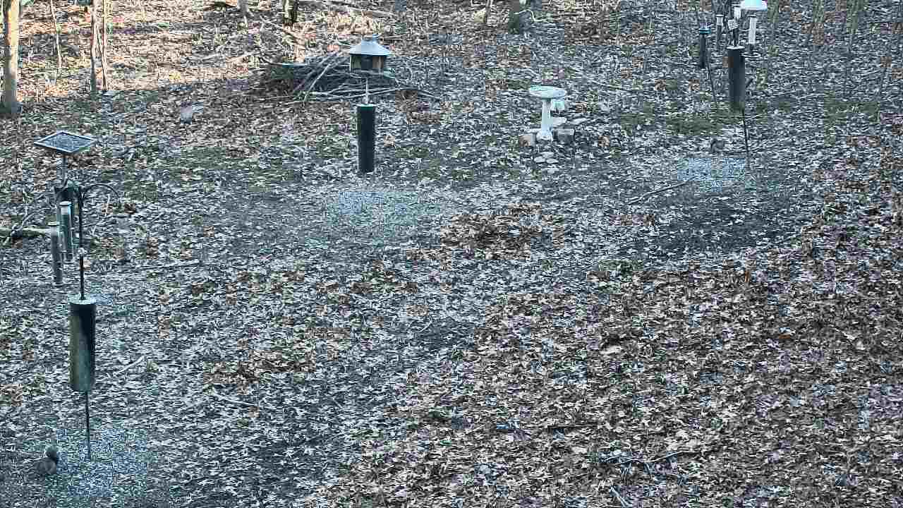 Thumbnail for current weather camera view from Cincinnati Nature Center in Batavia, Ohio