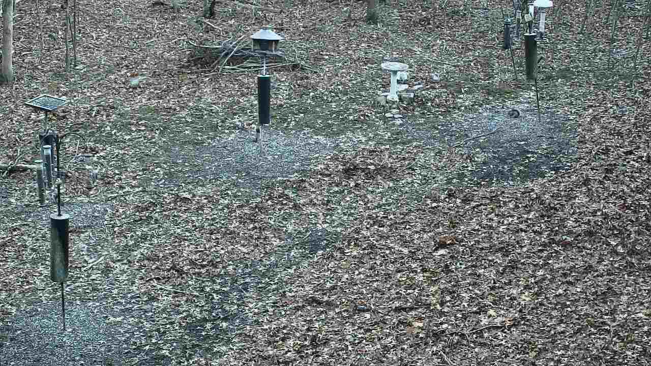 Thumbnail for current weather camera view from Cincinnati Nature Center in Batavia, Ohio