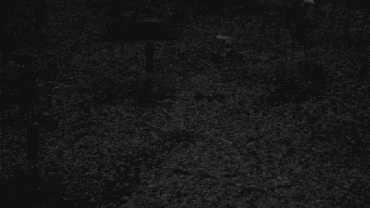 Thumbnail for current weather camera view from Cincinnati Nature Center in Batavia, Ohio