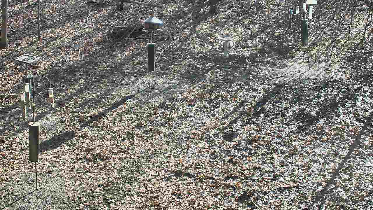 Thumbnail for current weather camera view from Cincinnati Nature Center in Batavia, Ohio