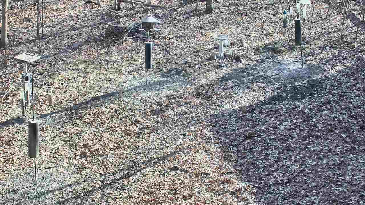 Thumbnail for current weather camera view from Cincinnati Nature Center in Batavia, Ohio