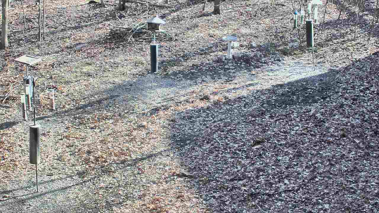 Thumbnail for current weather camera view from Cincinnati Nature Center in Batavia, Ohio