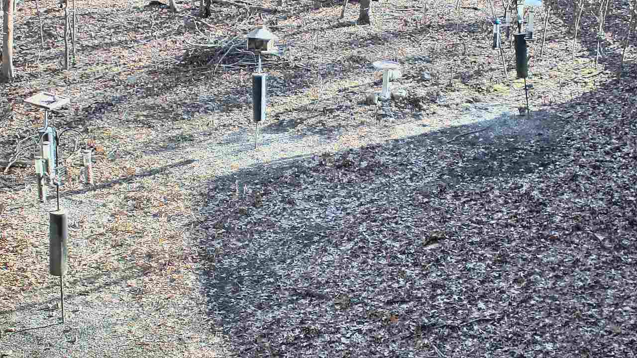 Thumbnail for current weather camera view from Cincinnati Nature Center in Batavia, Ohio