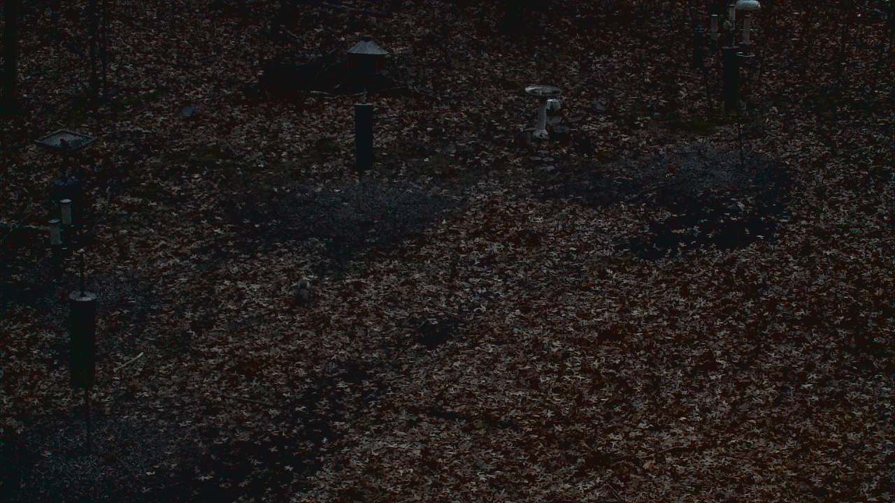 Thumbnail for current weather camera view from Cincinnati Nature Center in Batavia, Ohio