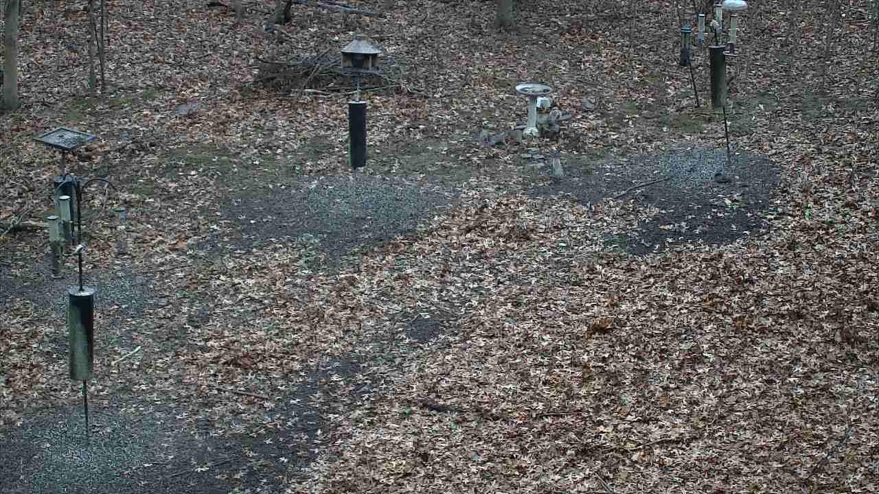 Thumbnail for current weather camera view from Cincinnati Nature Center in Batavia, Ohio