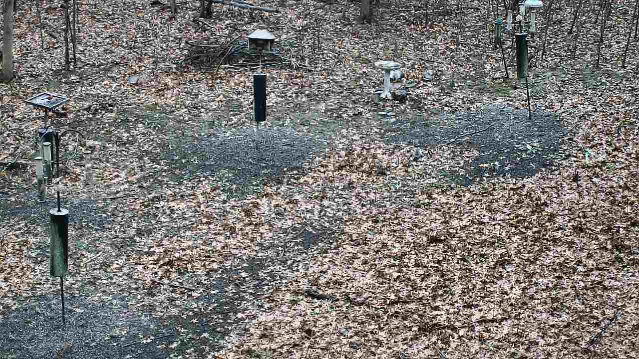 Thumbnail for current weather camera view from Cincinnati Nature Center in Batavia, Ohio