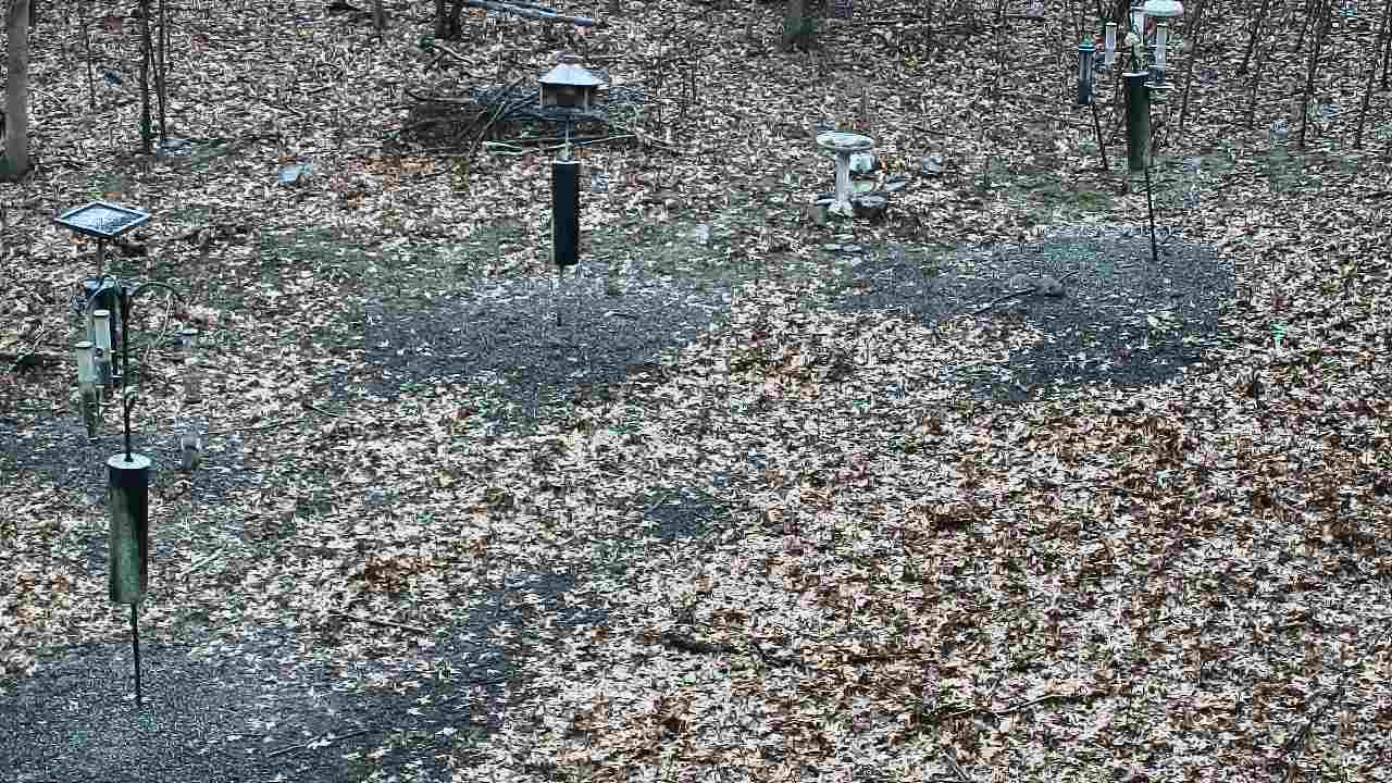 Thumbnail for current weather camera view from Cincinnati Nature Center in Batavia, Ohio