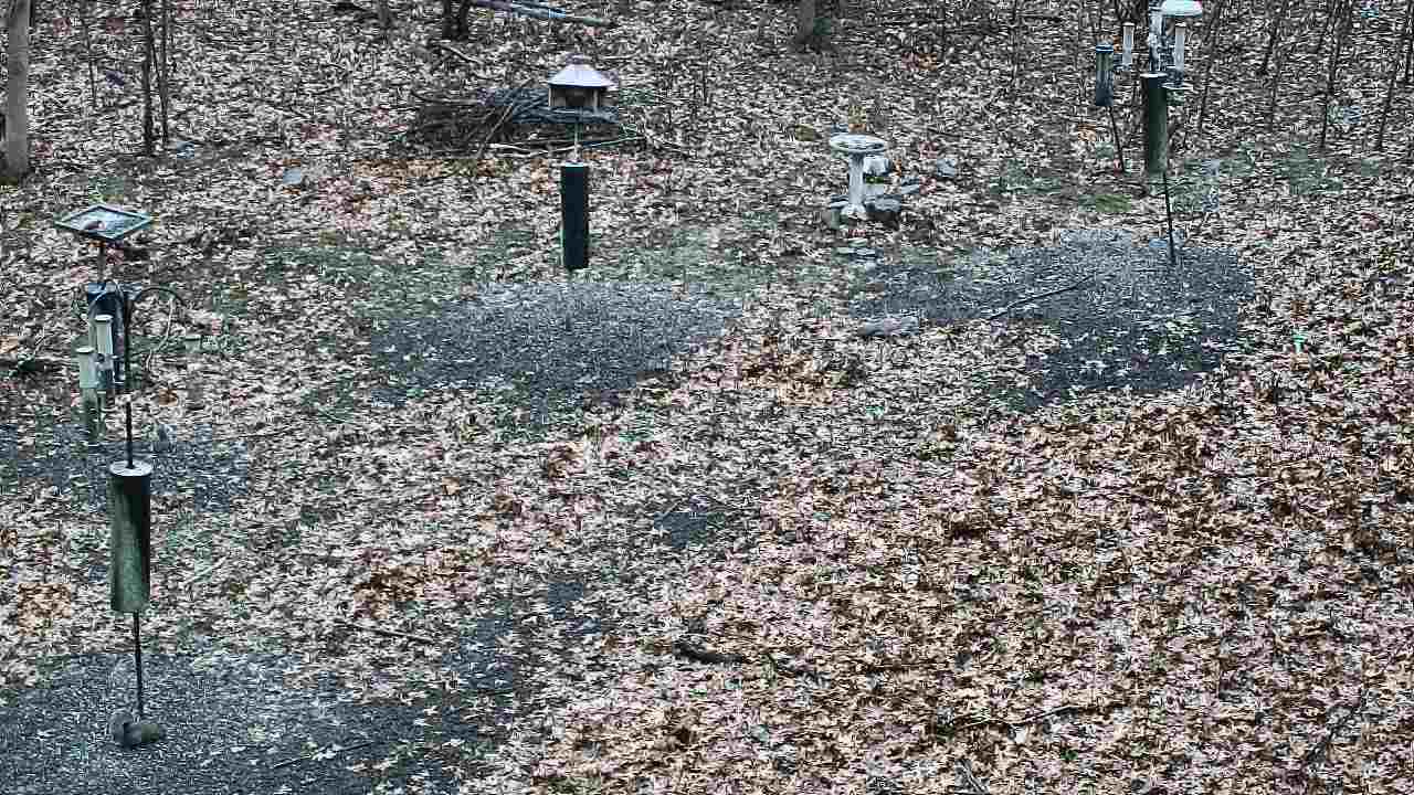 Thumbnail for current weather camera view from Cincinnati Nature Center in Batavia, Ohio