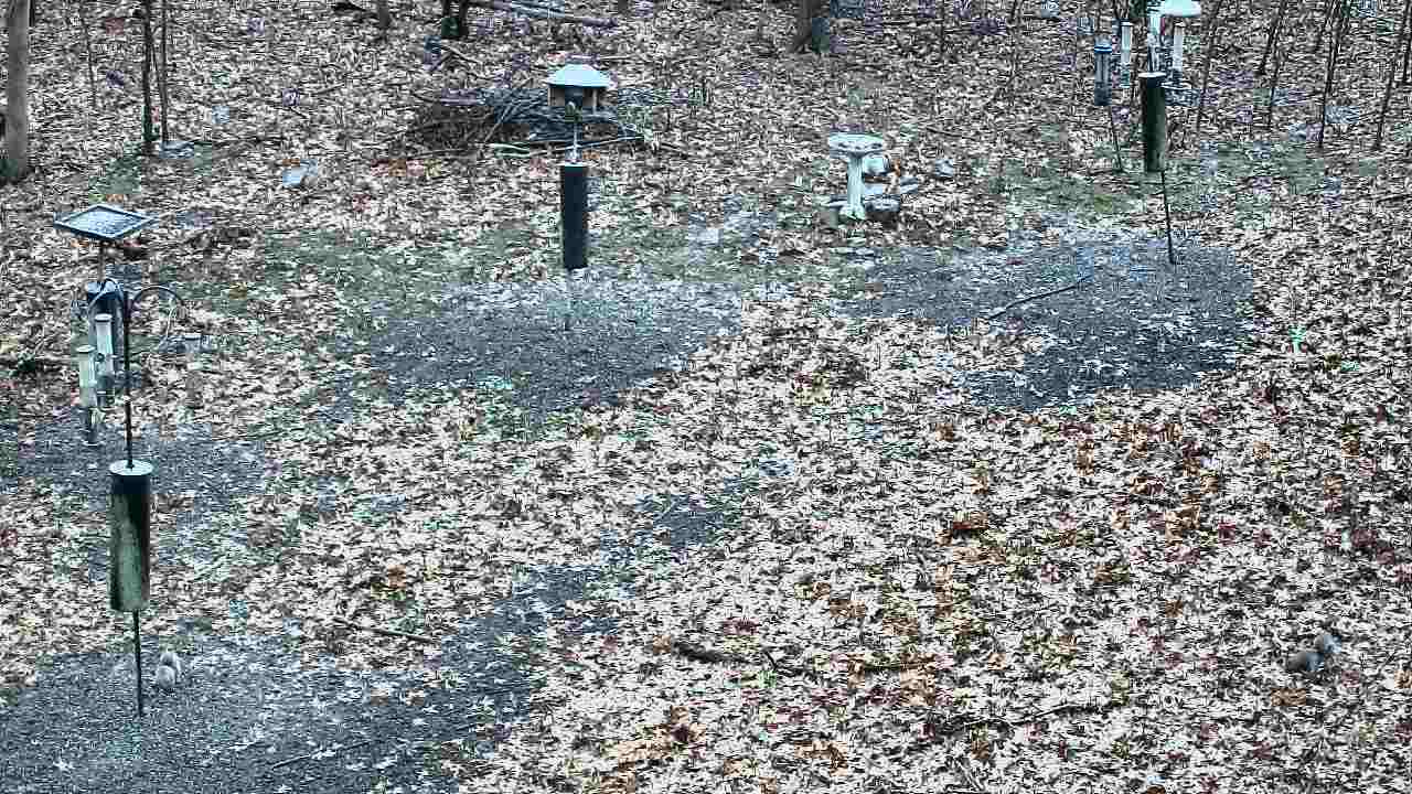 Thumbnail for current weather camera view from Cincinnati Nature Center in Batavia, Ohio