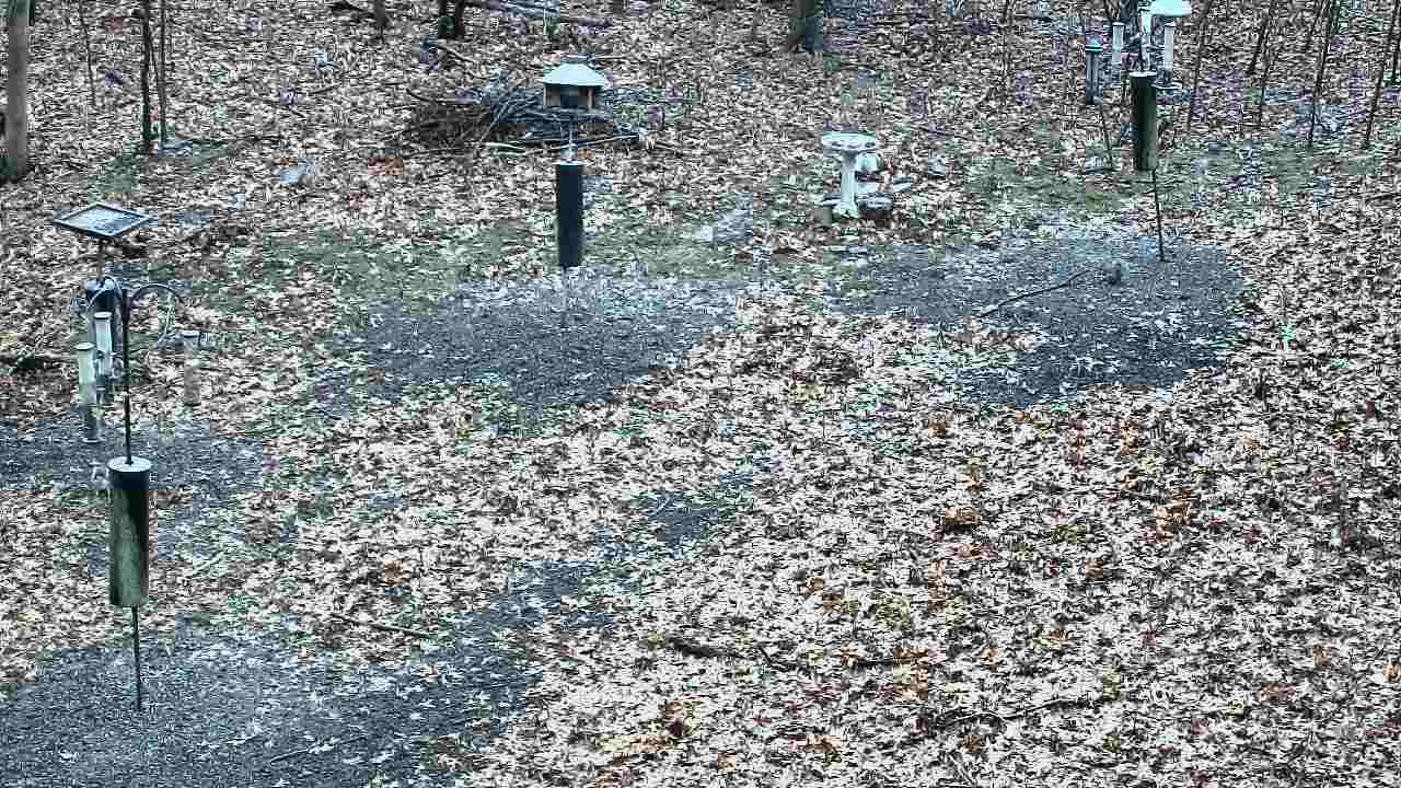 Thumbnail for current weather camera view from Cincinnati Nature Center in Batavia, Ohio