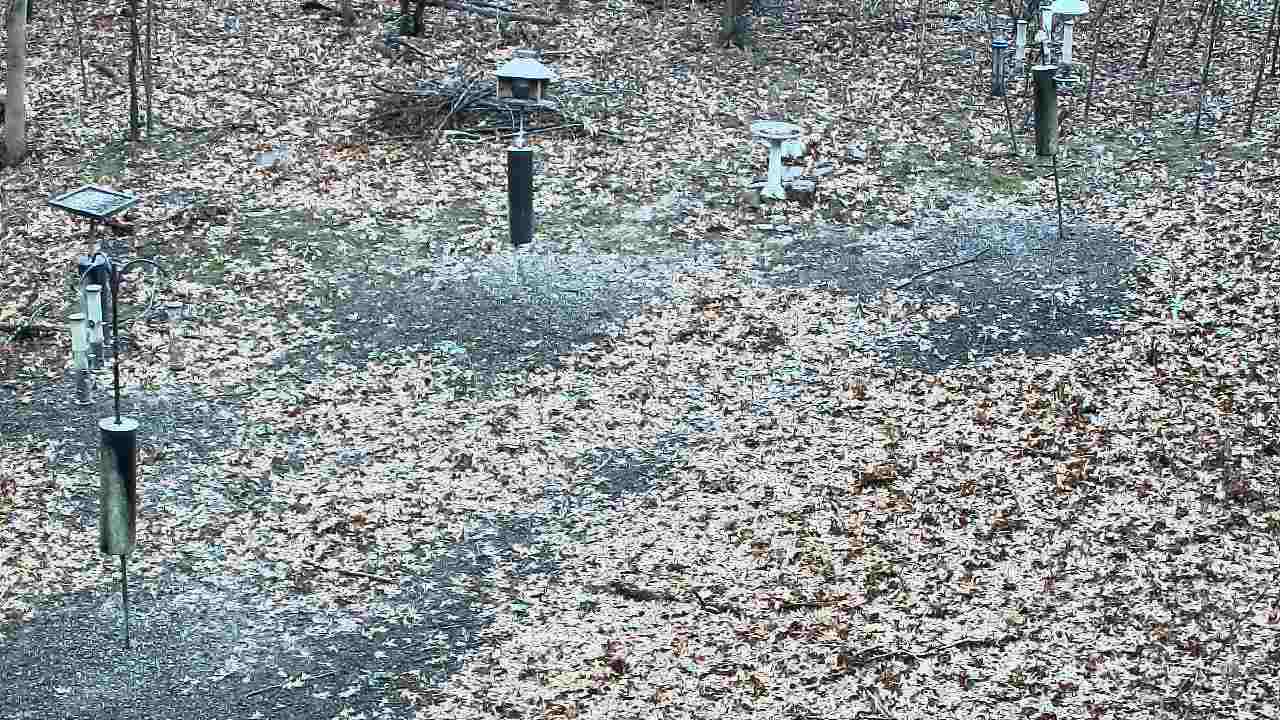 Thumbnail for current weather camera view from Cincinnati Nature Center in Batavia, Ohio