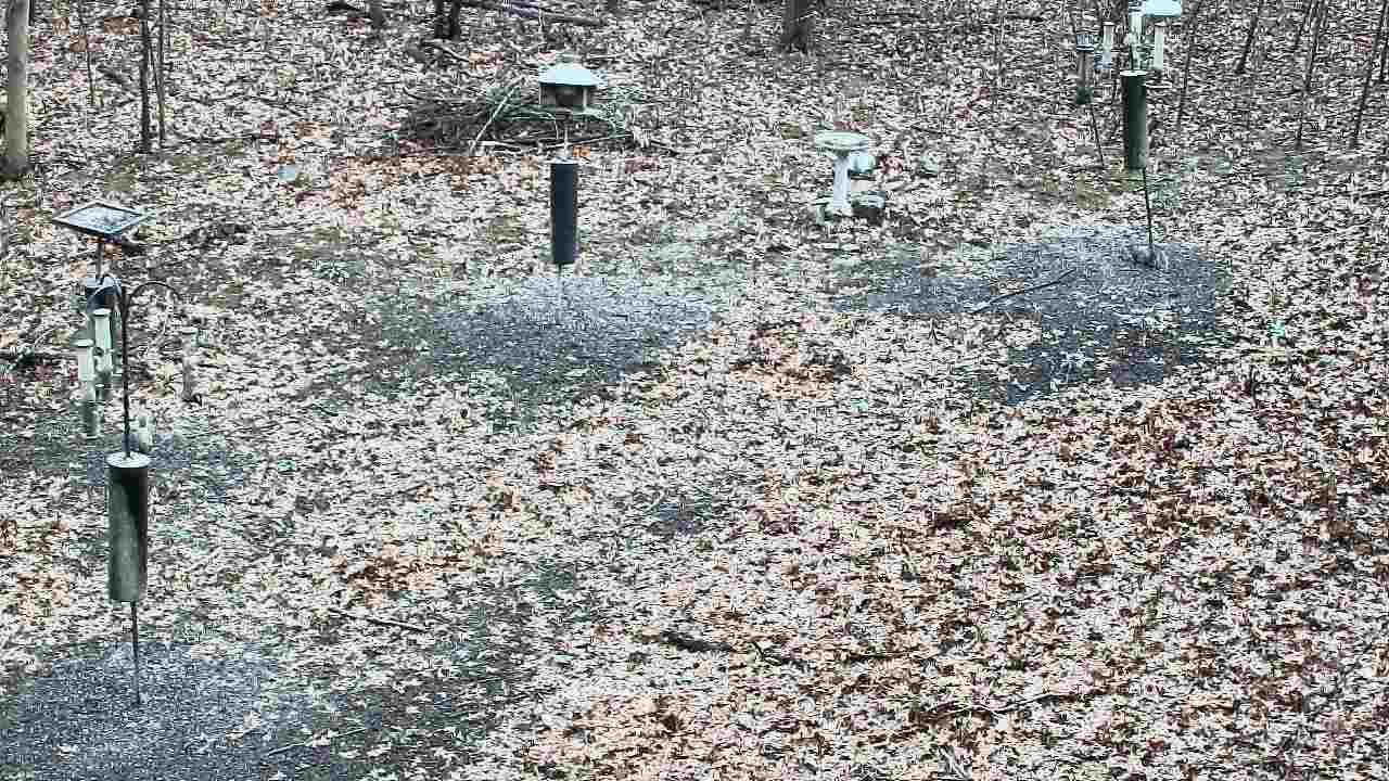 Thumbnail for current weather camera view from Cincinnati Nature Center in Batavia, Ohio