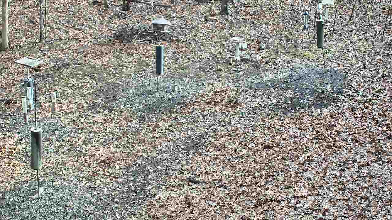 Thumbnail for current weather camera view from Cincinnati Nature Center in Batavia, Ohio