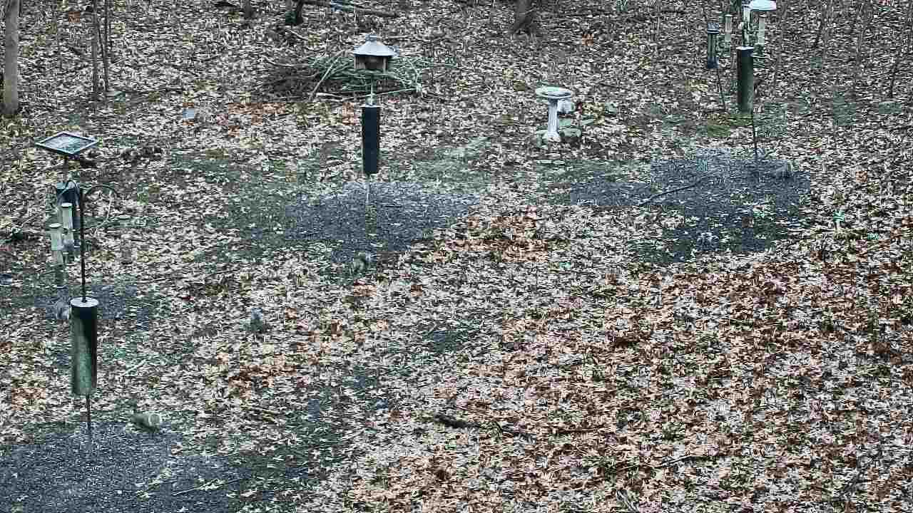 Thumbnail for current weather camera view from Cincinnati Nature Center in Batavia, Ohio