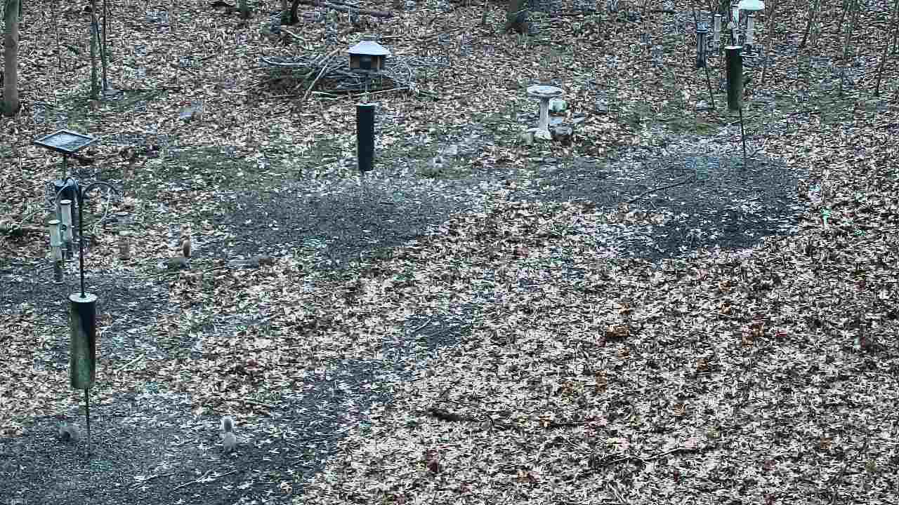 Thumbnail for current weather camera view from Cincinnati Nature Center in Batavia, Ohio