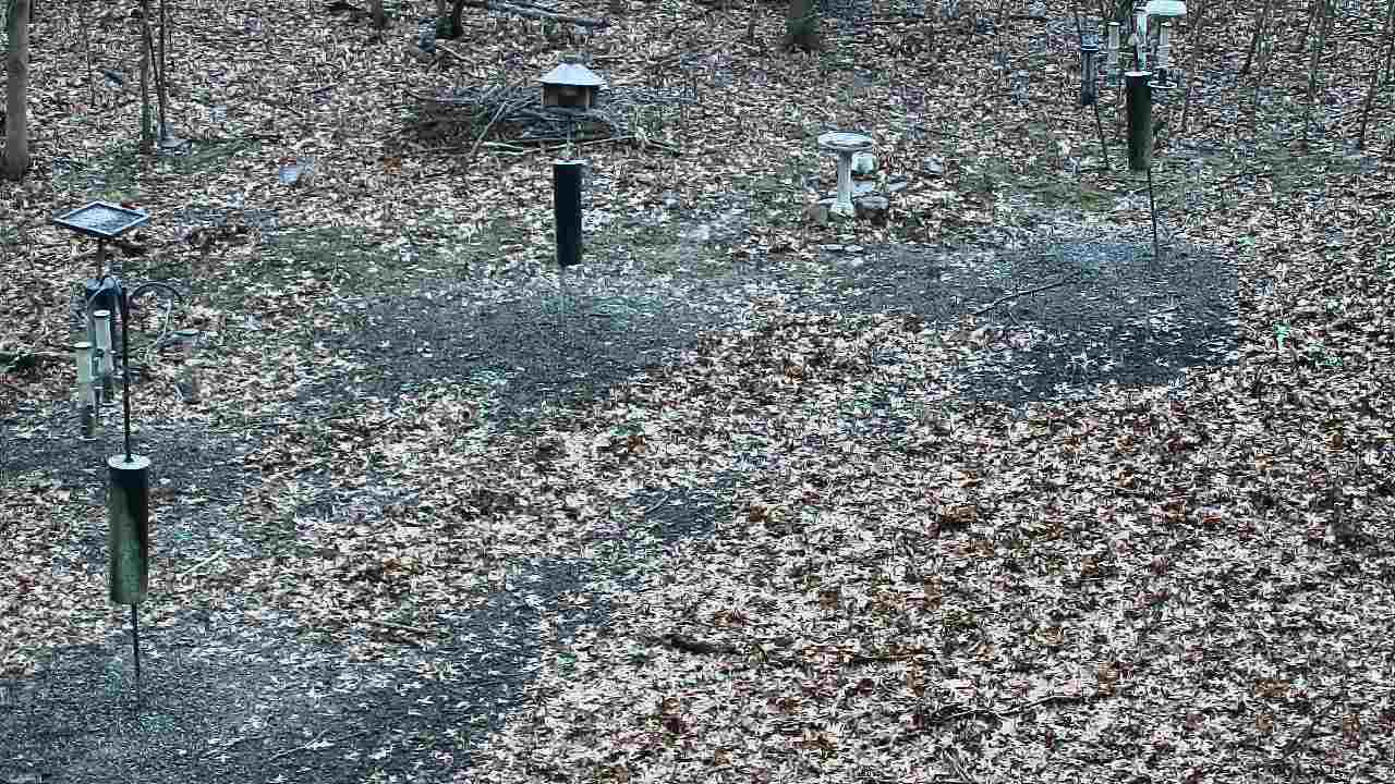 Thumbnail for current weather camera view from Cincinnati Nature Center in Batavia, Ohio