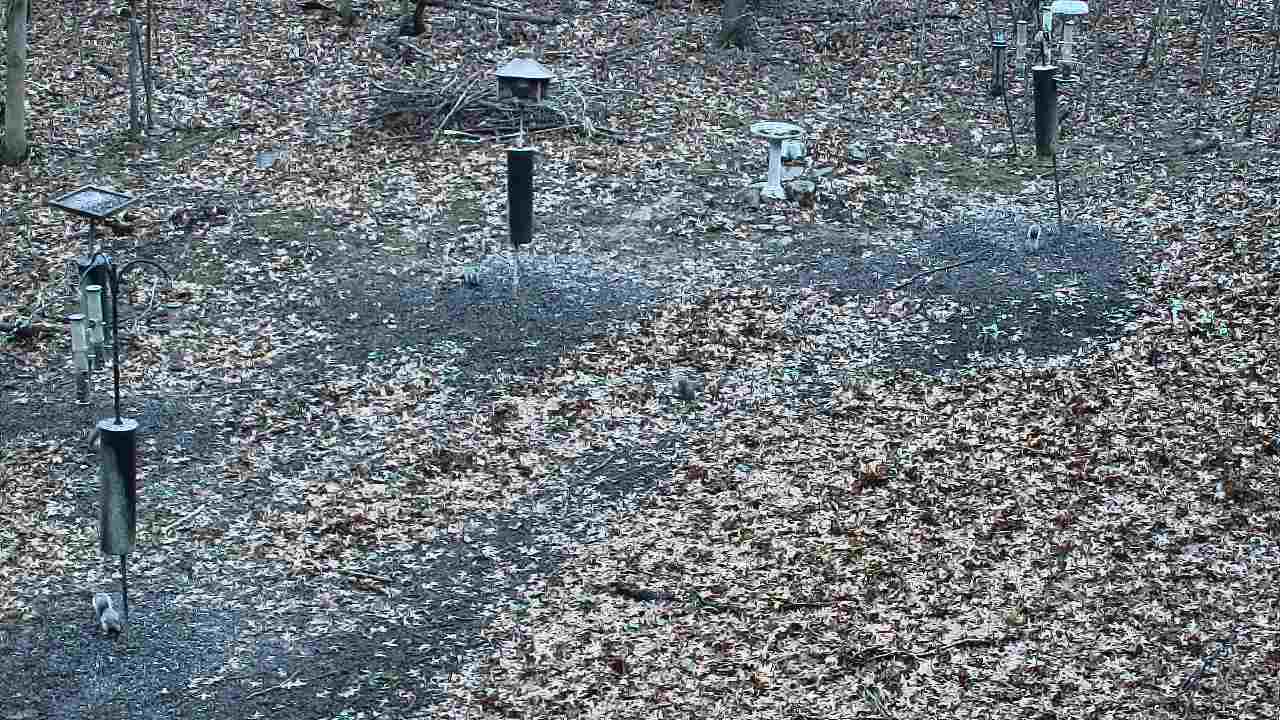 Thumbnail for current weather camera view from Cincinnati Nature Center in Batavia, Ohio