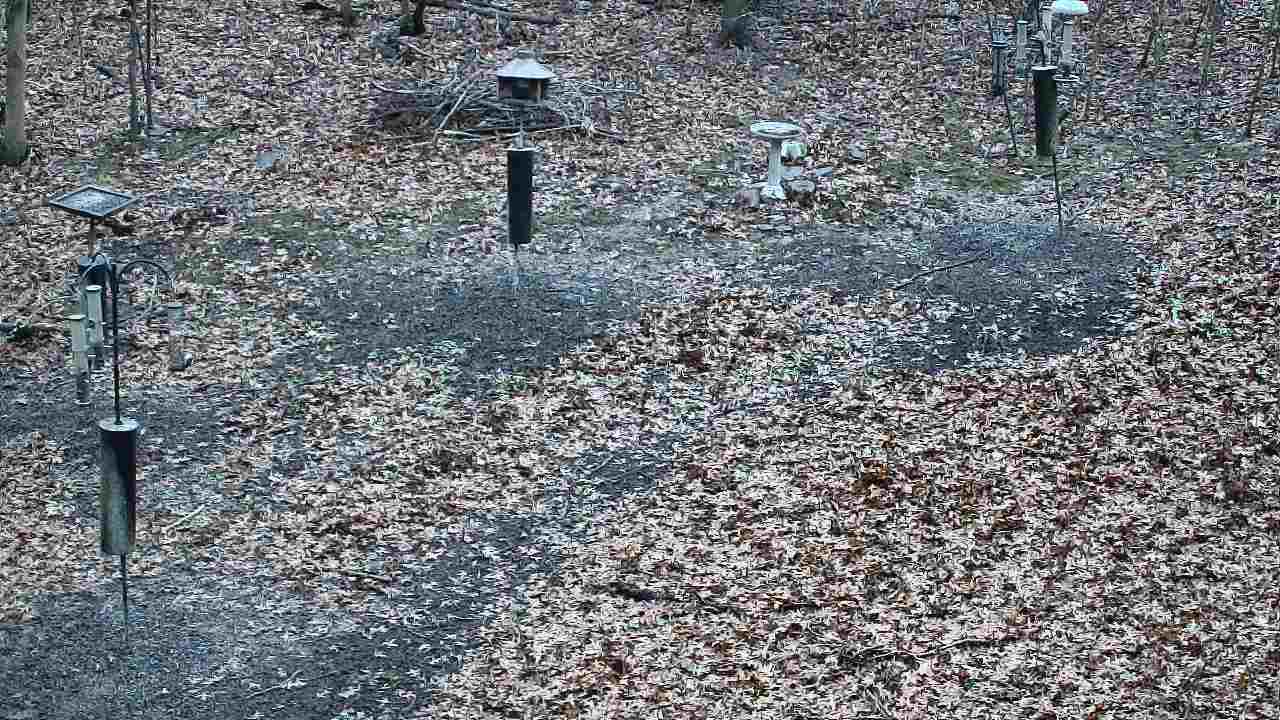 Thumbnail for current weather camera view from Cincinnati Nature Center in Batavia, Ohio