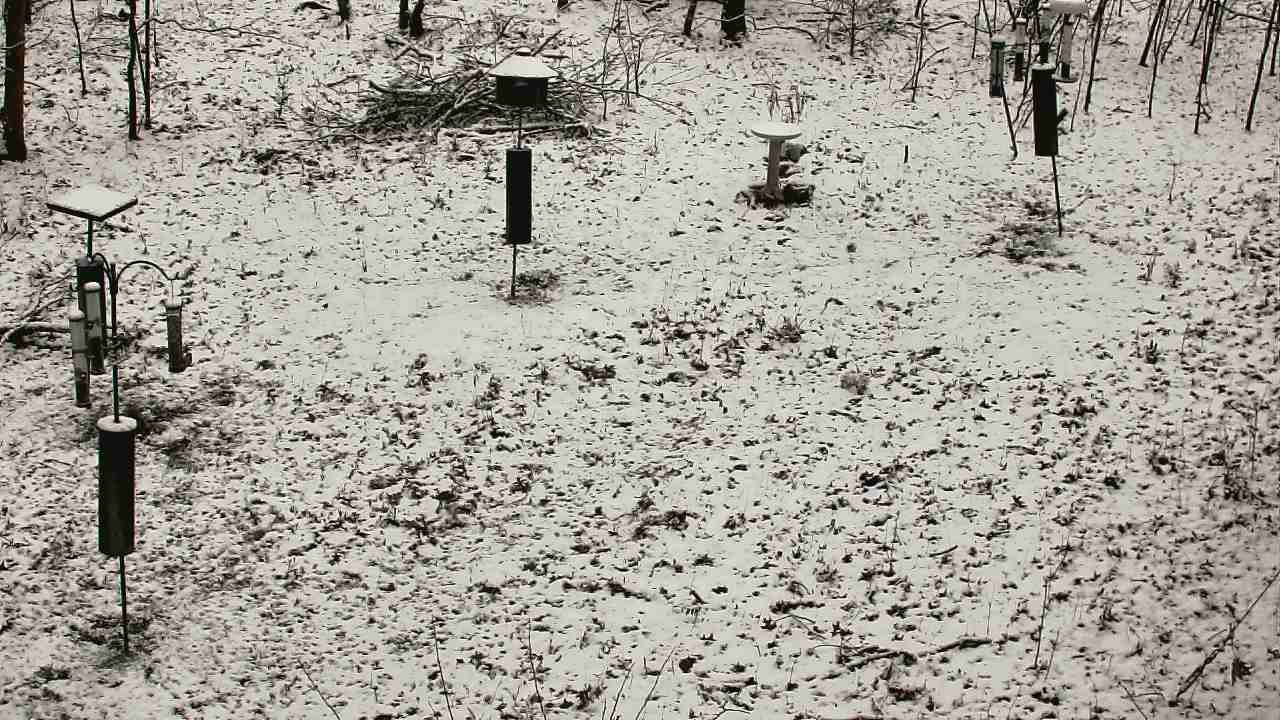 Thumbnail for current weather camera view from Cincinnati Nature Center in Batavia, Ohio