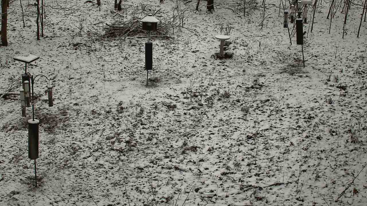 Thumbnail for current weather camera view from Cincinnati Nature Center in Batavia, Ohio