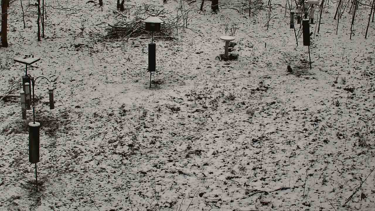 Thumbnail for current weather camera view from Cincinnati Nature Center in Batavia, Ohio