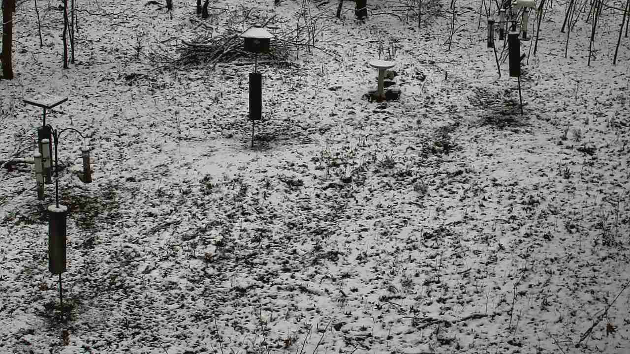 Thumbnail for current weather camera view from Cincinnati Nature Center in Batavia, Ohio