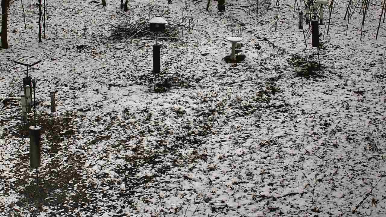 Thumbnail for current weather camera view from Cincinnati Nature Center in Batavia, Ohio