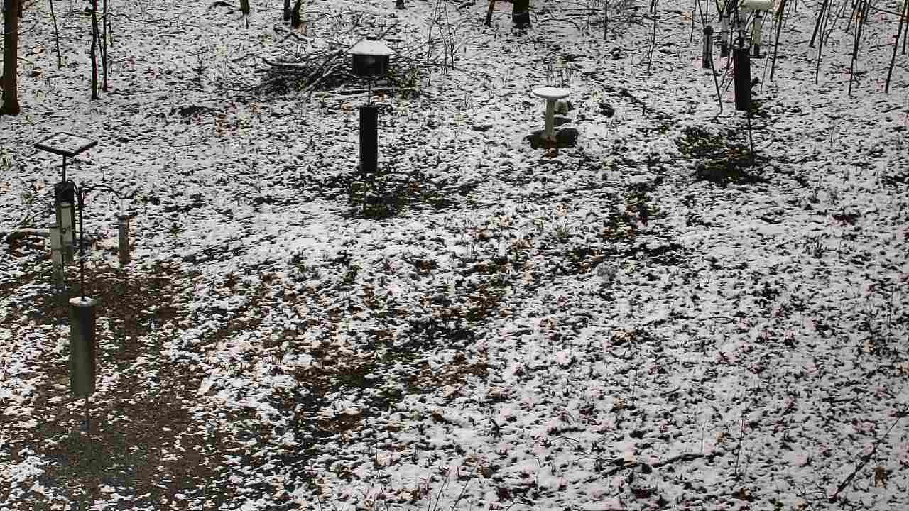 Thumbnail for current weather camera view from Cincinnati Nature Center in Batavia, Ohio