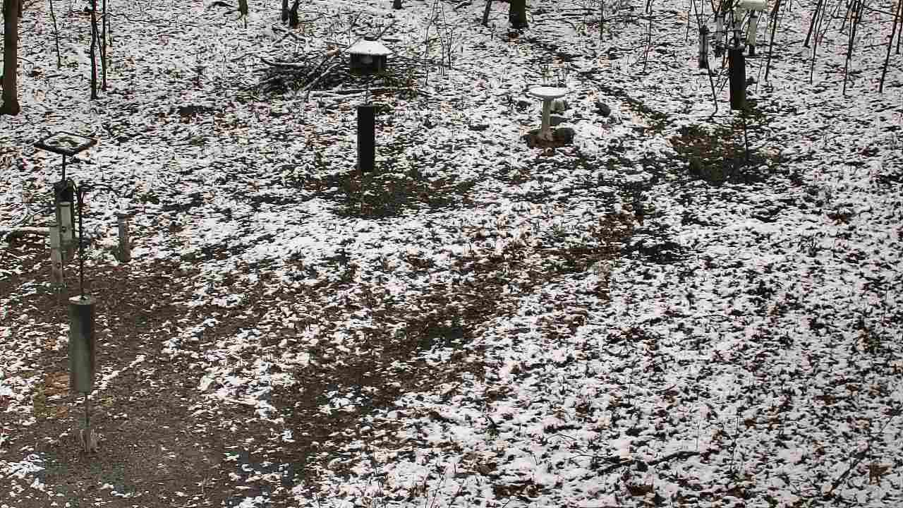 Thumbnail for current weather camera view from Cincinnati Nature Center in Batavia, Ohio