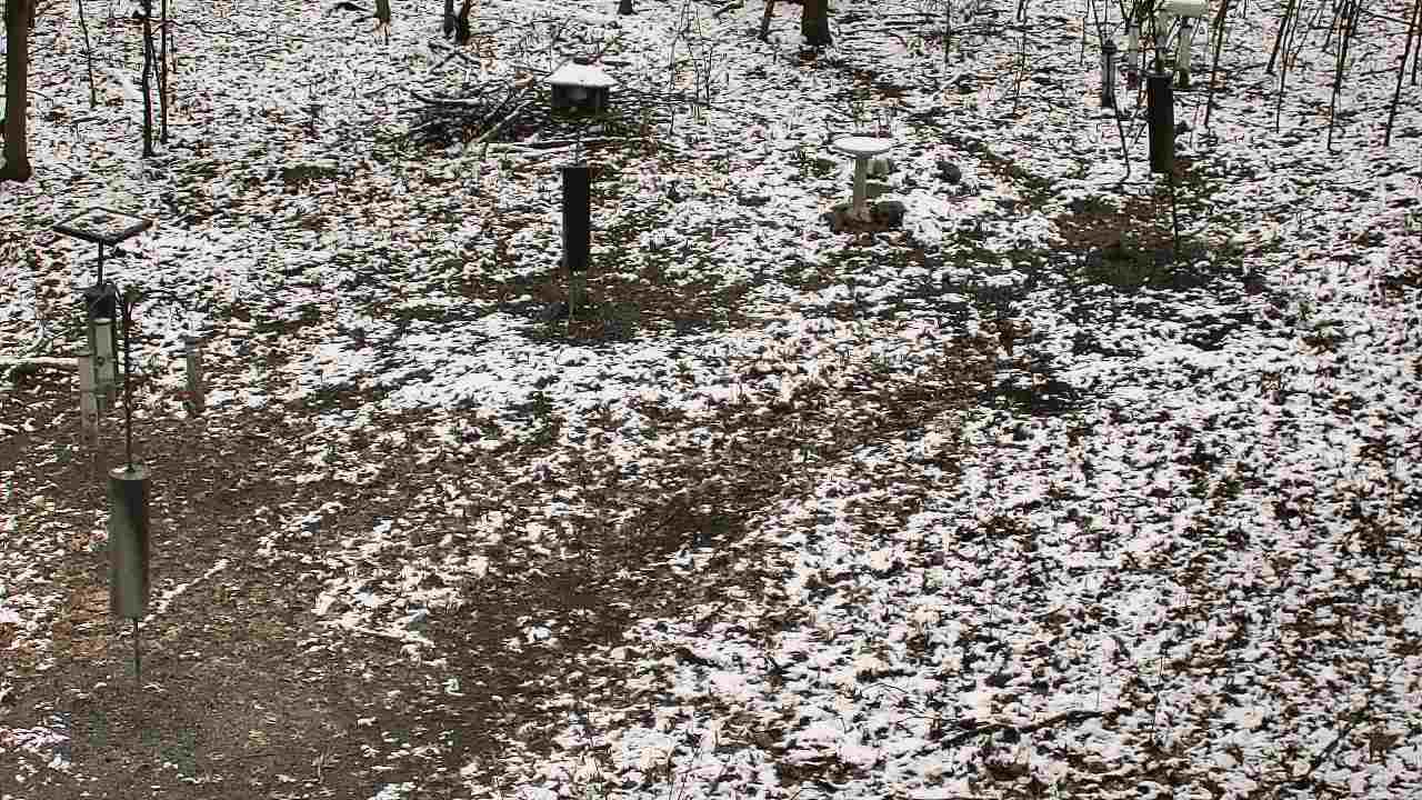 Thumbnail for current weather camera view from Cincinnati Nature Center in Batavia, Ohio