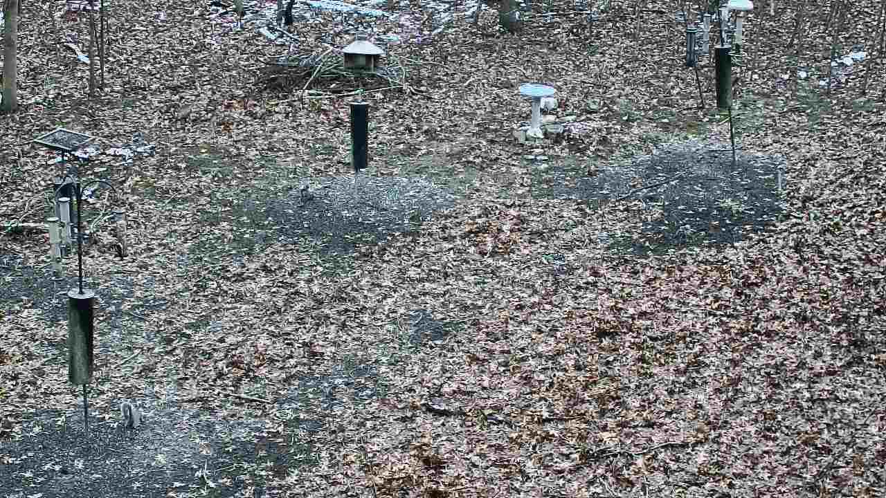 Thumbnail for current weather camera view from Cincinnati Nature Center in Batavia, Ohio