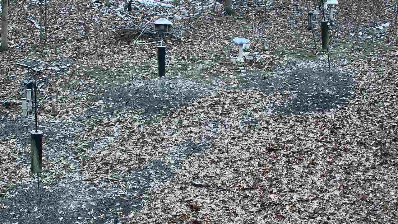 Thumbnail for current weather camera view from Cincinnati Nature Center in Batavia, Ohio