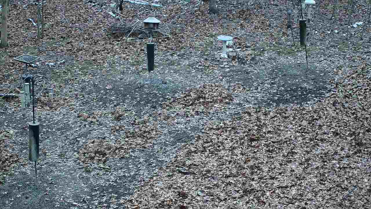 Thumbnail for current weather camera view from Cincinnati Nature Center in Batavia, Ohio